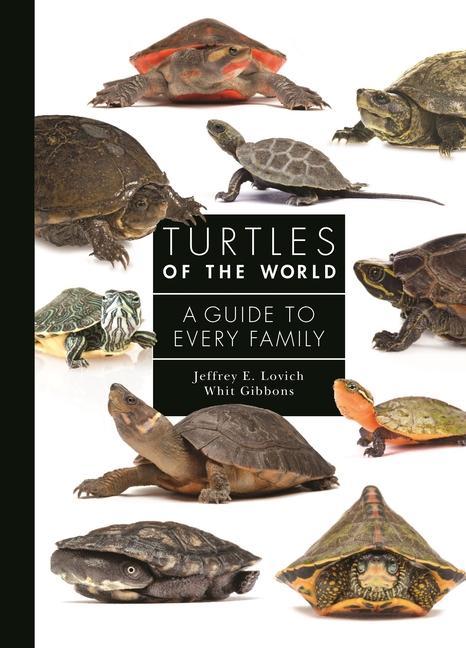 Vorderes Coverbild Turtles of the World