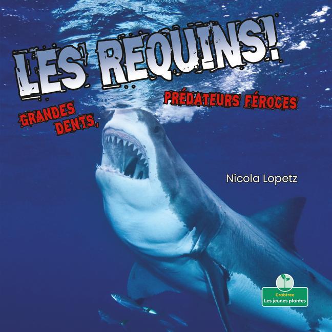 Vorderes Coverbild Les Requins! Grandes Dents, Prédateurs Féroces (Sharks! Big Teeth, Fierce Hunters)