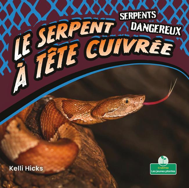 Vorderes Coverbild Le Serpent À Tête Cuivrée (Copperheads)