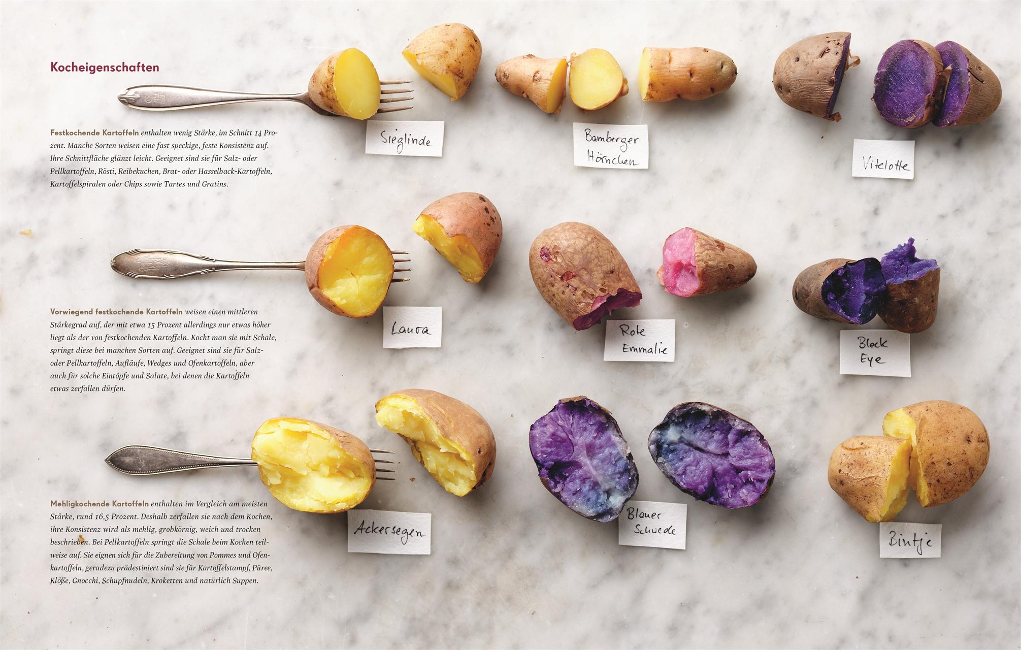 Beispielinhalt (Bild) Kartoffelküche