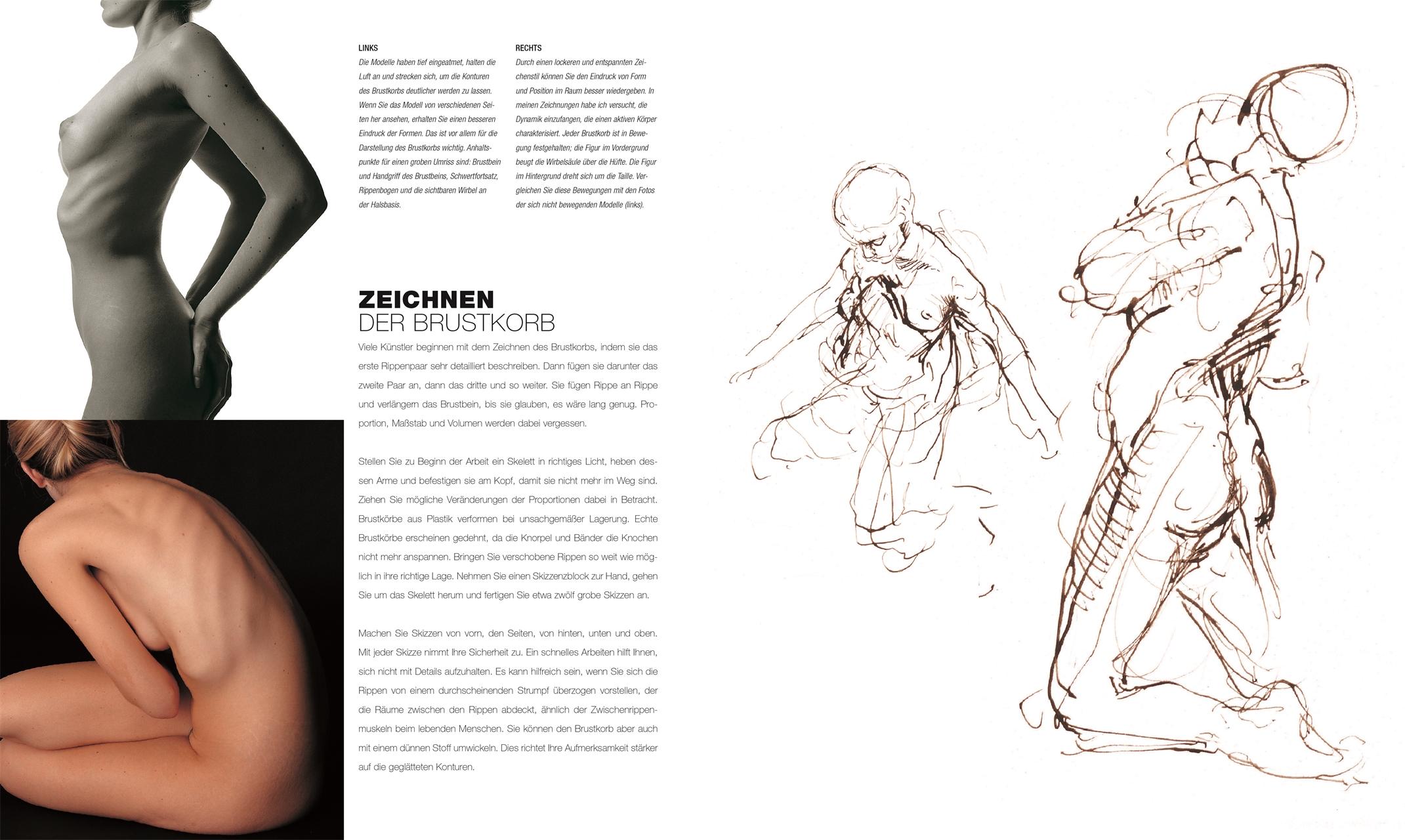 Beispielinhalt (Bild) Anatomie für Künstler