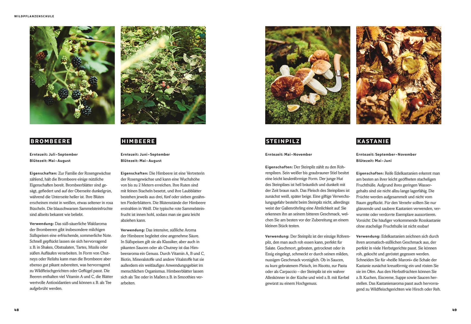 Beispielinhalt (Bild) Wild - Wald - Genuss