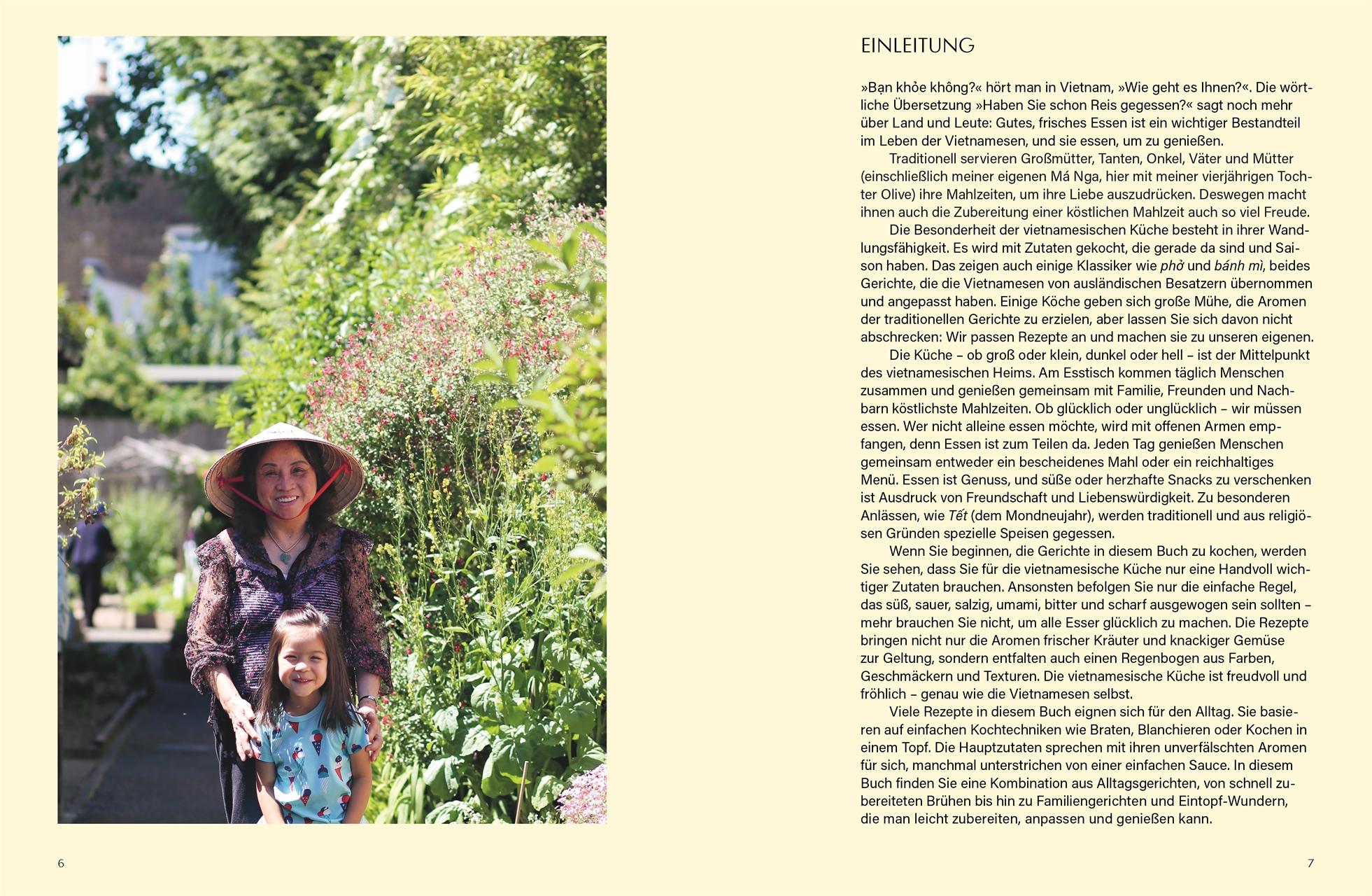 Beispielinhalt (Bild) Vietnameasy