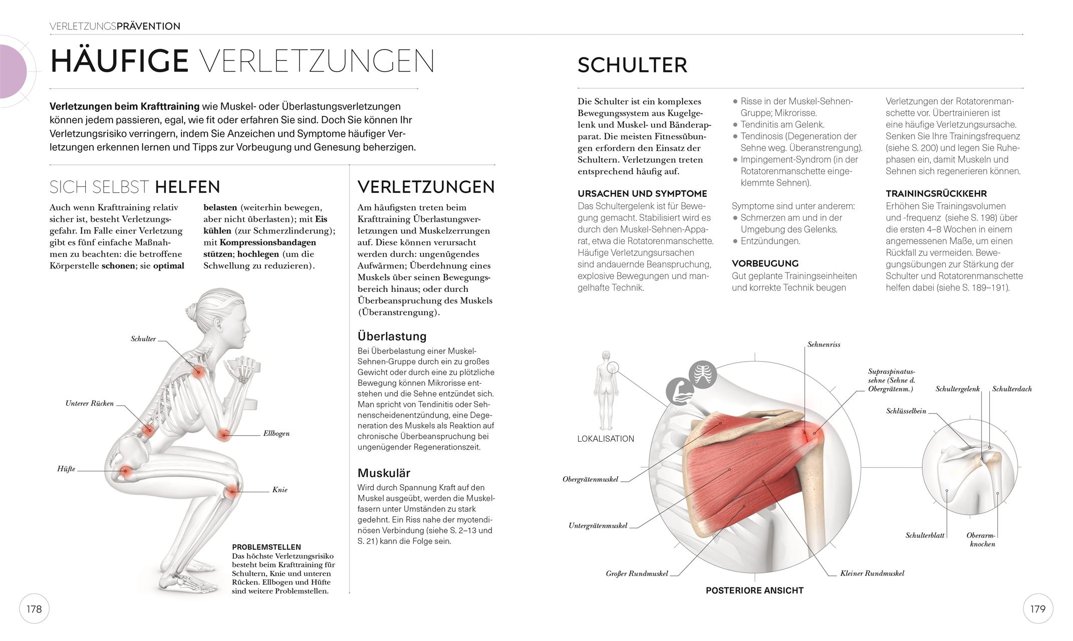 Beispielinhalt (Bild) Krafttraining - Die Anatomie verstehen