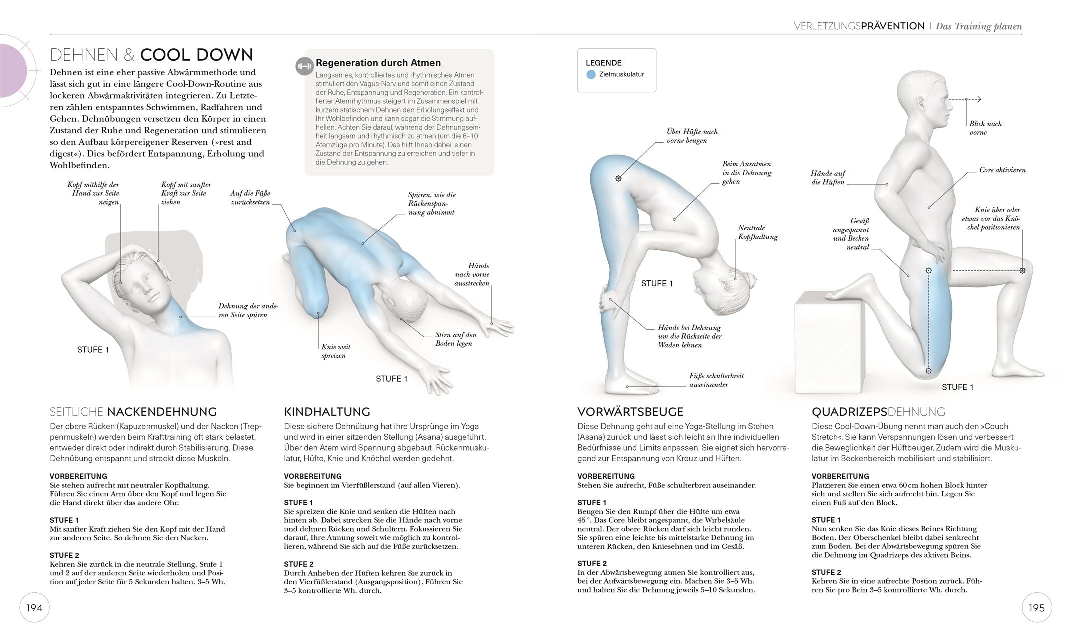 Beispielinhalt (Bild) Krafttraining - Die Anatomie verstehen