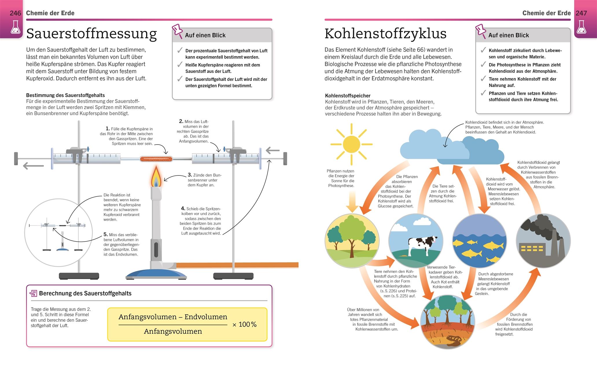 Beispielinhalt (Bild) Visuelles Wissen. Chemie