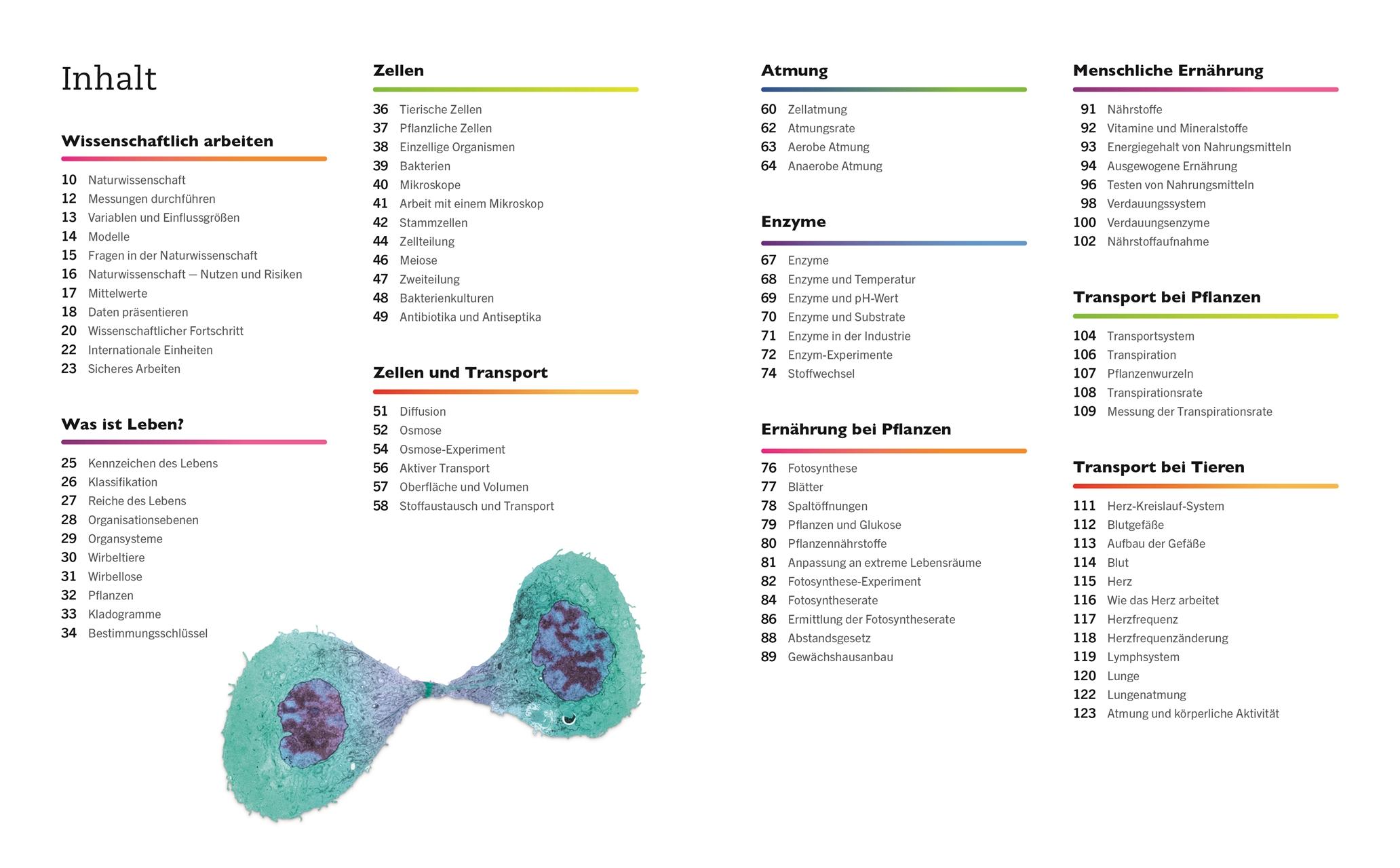 Beispielinhalt (Bild) Visuelles Wissen. Biologie