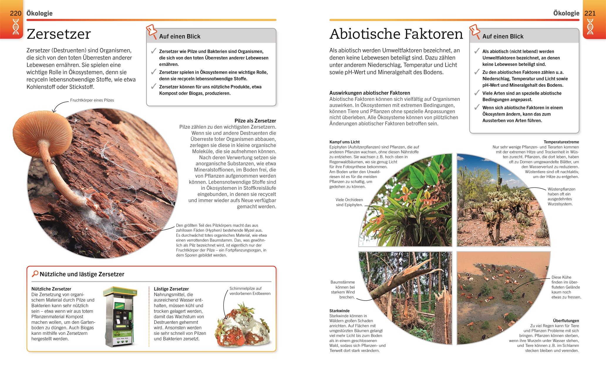 Beispielinhalt (Bild) Visuelles Wissen. Biologie