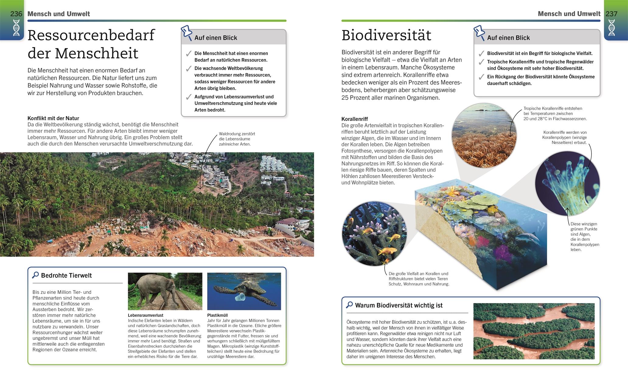 Beispielinhalt (Bild) Visuelles Wissen. Biologie