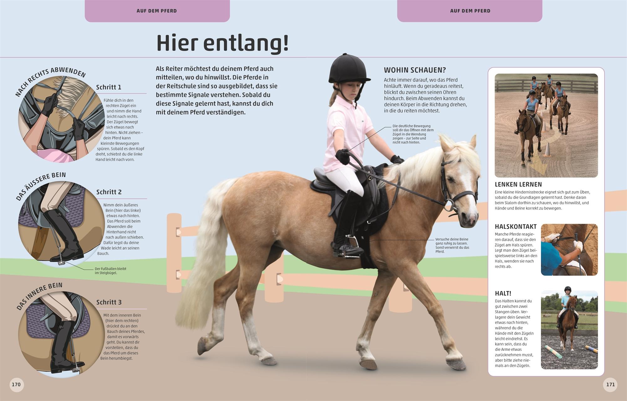 Beispielinhalt (Bild) Pferde und Ponys