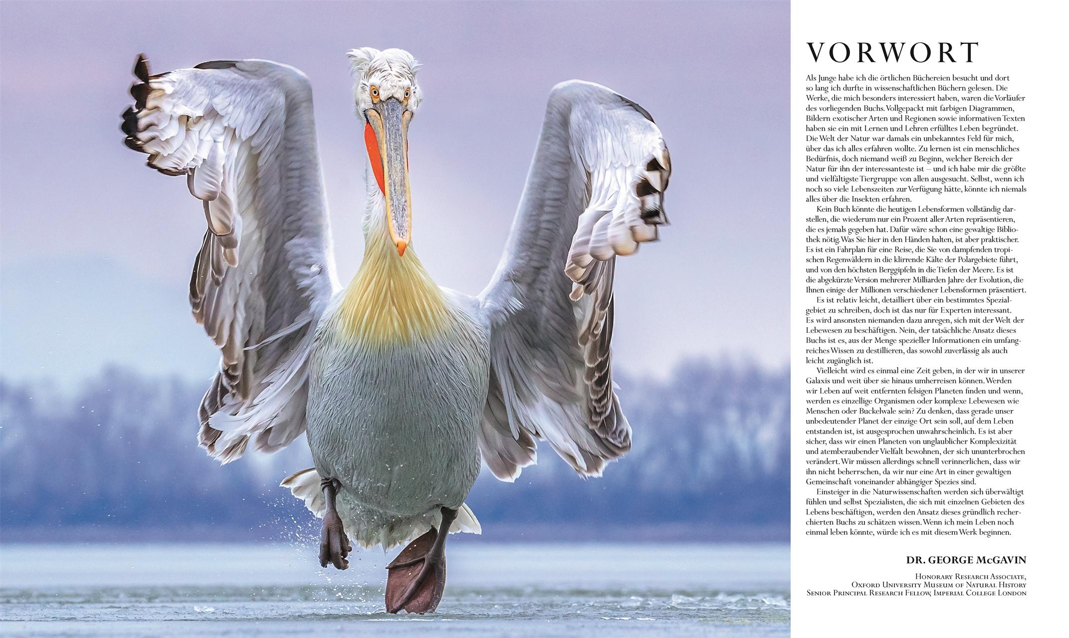 Beispielinhalt (Bild) Die Natur in über 5000 Fotos