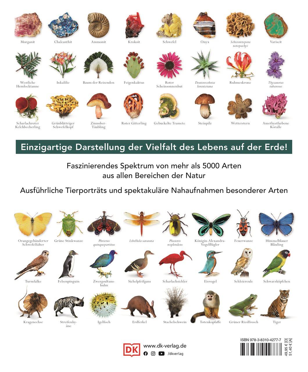 Rückseitencover Die Natur in über 5000 Fotos