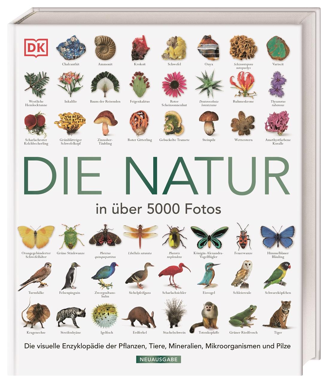 Vorderes Coverbild Die Natur in über 5000 Fotos