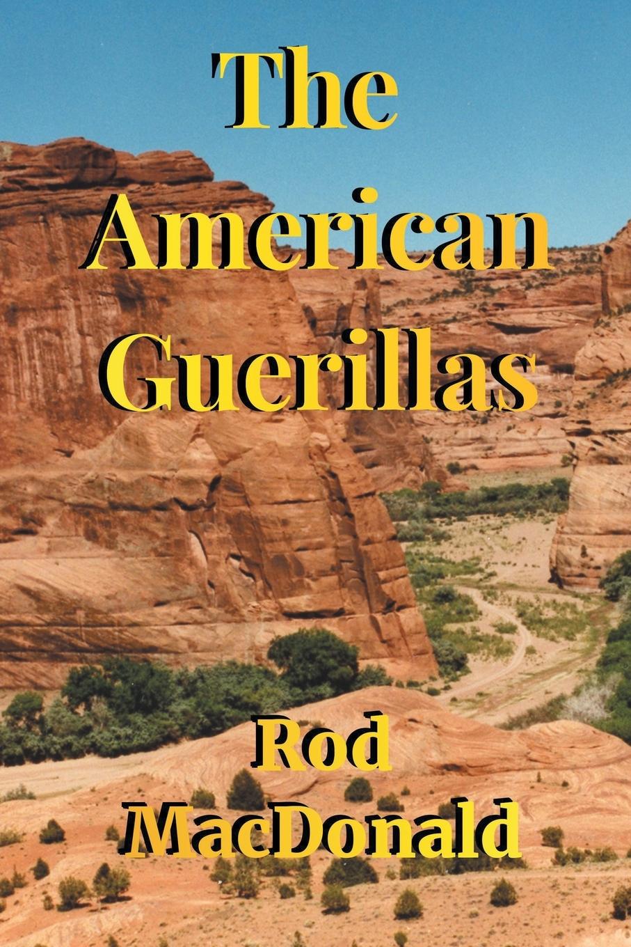 Vorderes Coverbild The American Guerillas