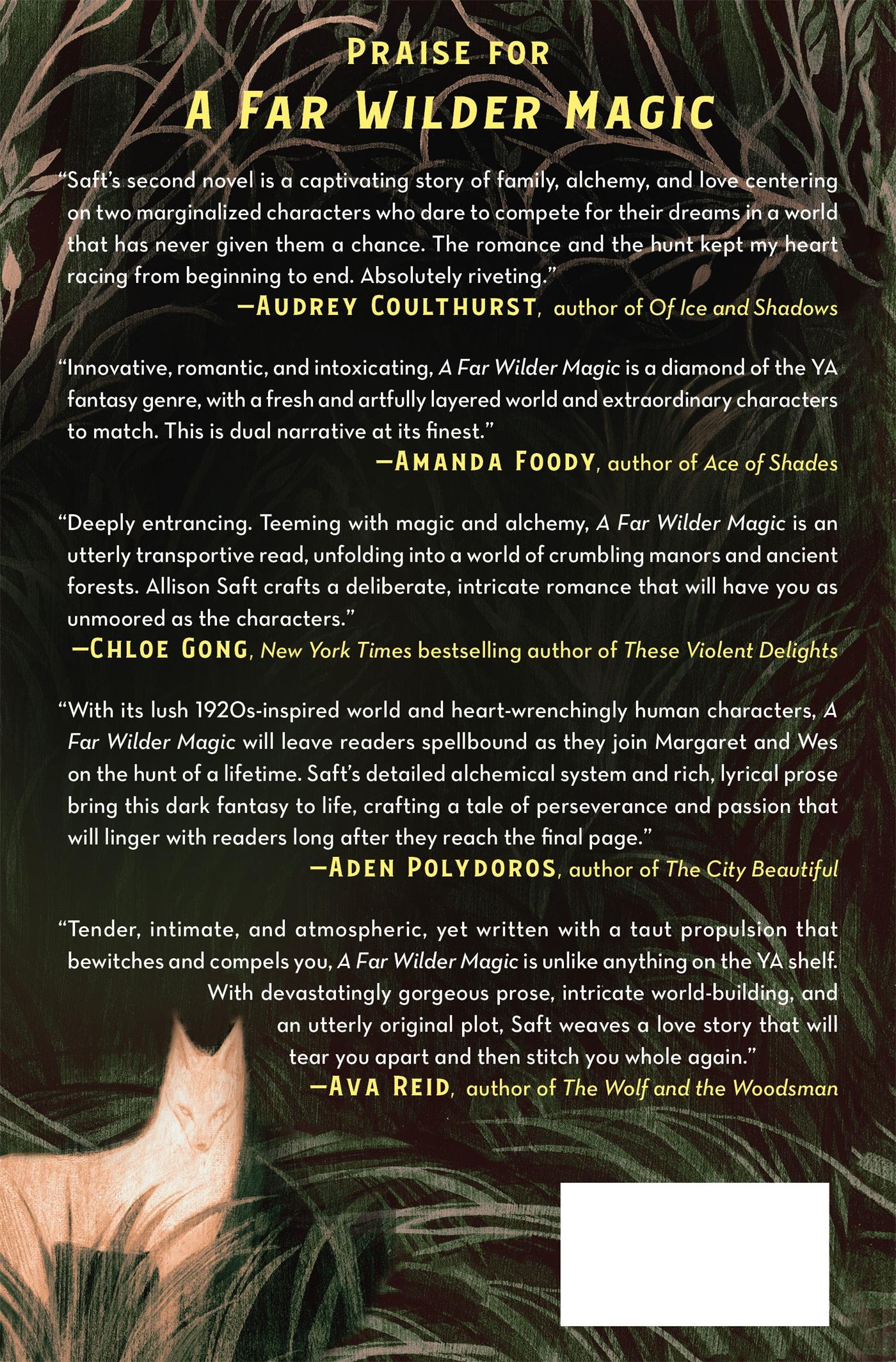Rückseitencover A Far Wilder Magic