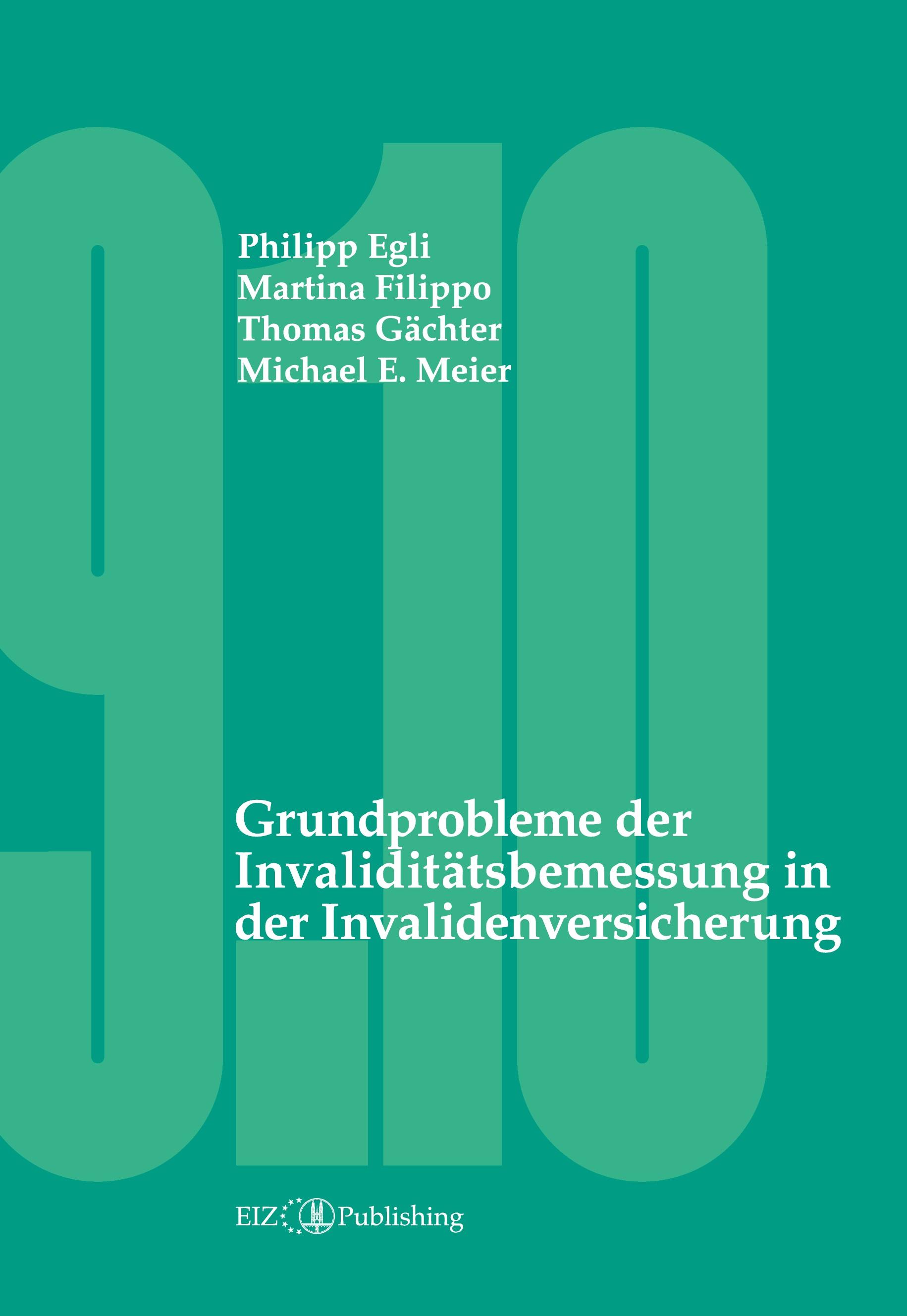 Vorderes Coverbild Grundprobleme der Invaliditätsbemessung in der Invalidenversicherung