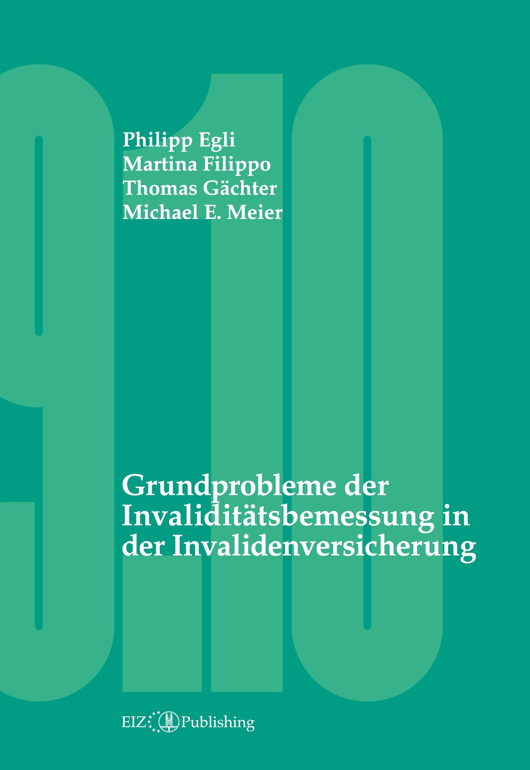 Vorderes Coverbild Grundprobleme der Invaliditätsbemessung in der Invalidenversicherung
