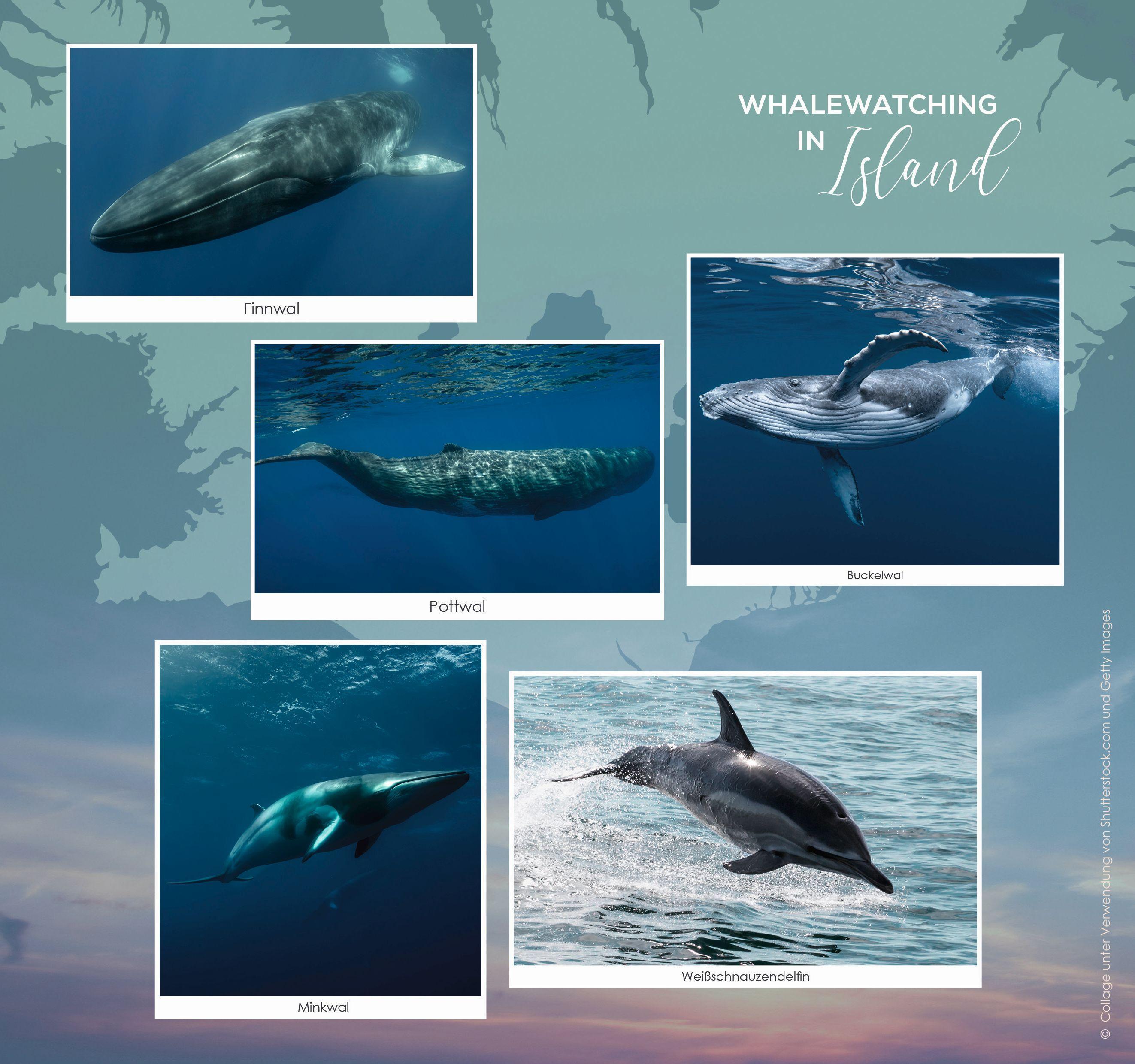 Beispielinhalt (Bild) The Sea in your Heart