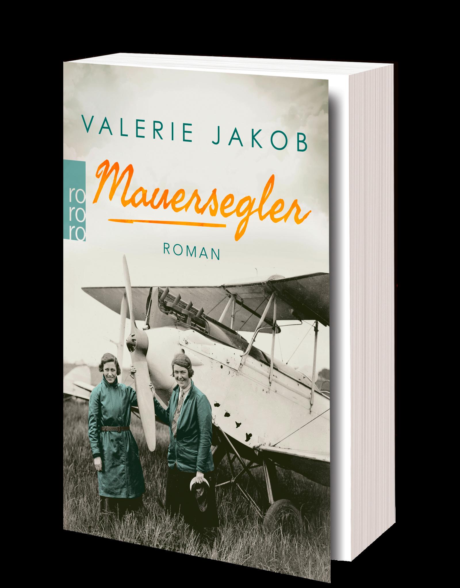 Beispielinhalt (Bild) Mauersegler