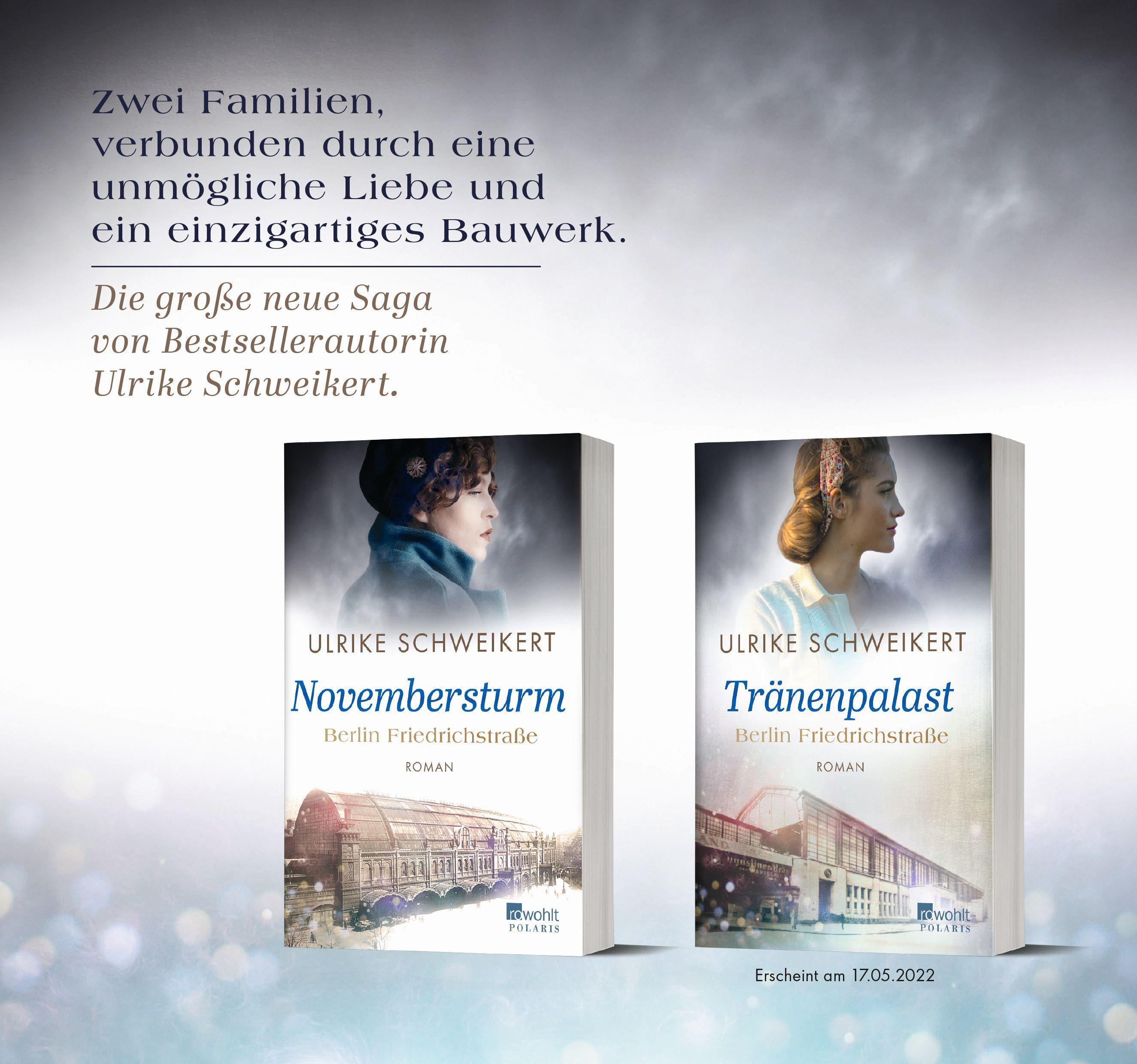 Beispielinhalt (Bild) Berlin Friedrichstraße: Novembersturm