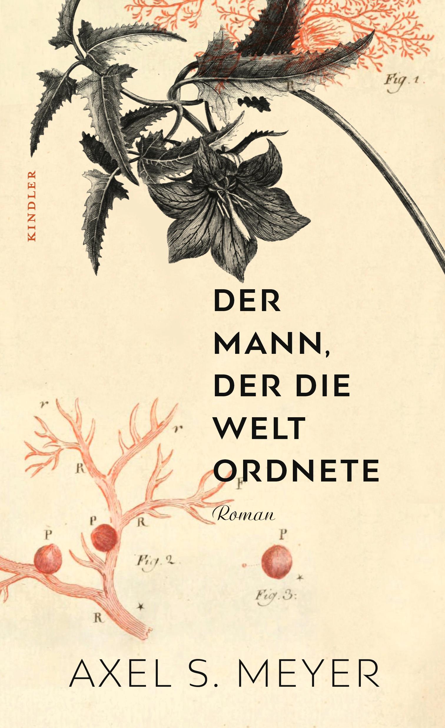 Vorderes Coverbild Der Mann, der die Welt ordnete