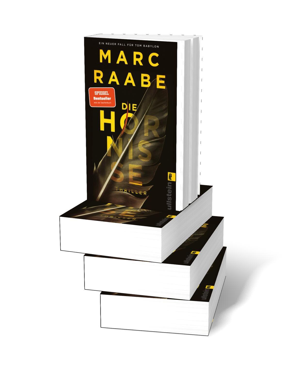 Beispielinhalt (Bild) Die Hornisse