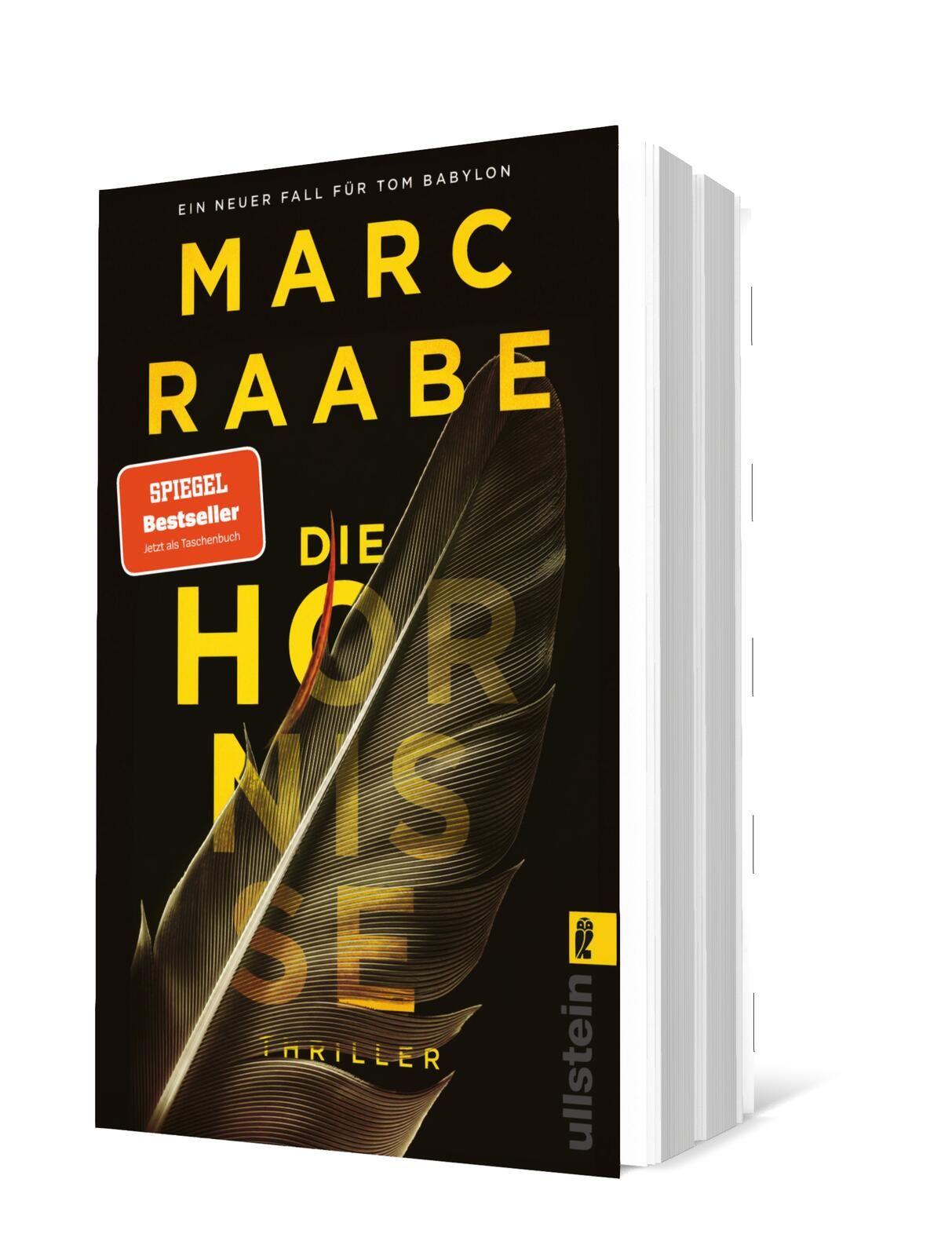 Vorderes Coverbild Die Hornisse
