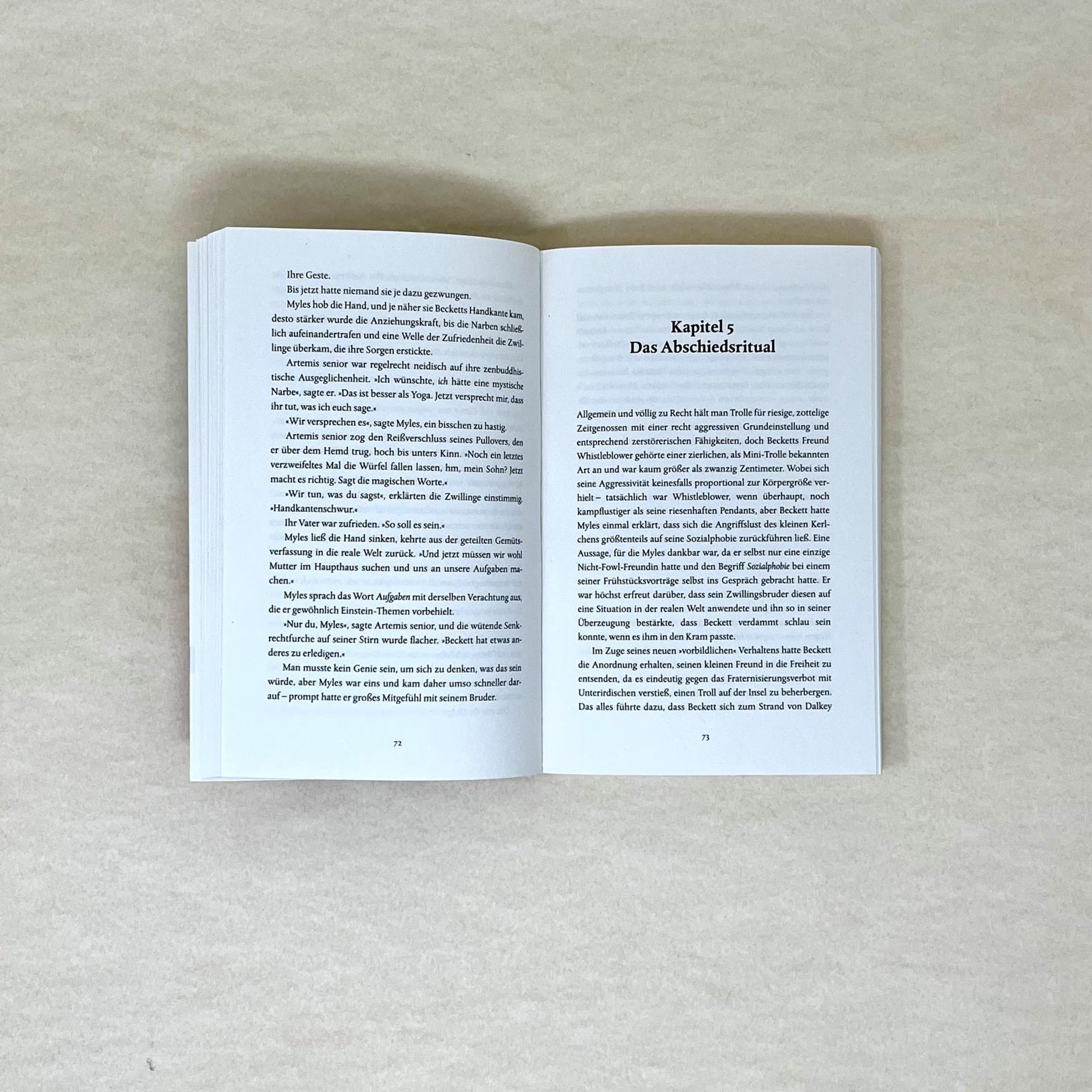 Beispielinhalt (Bild) Die Fowl-Zwillinge und die große Entführung