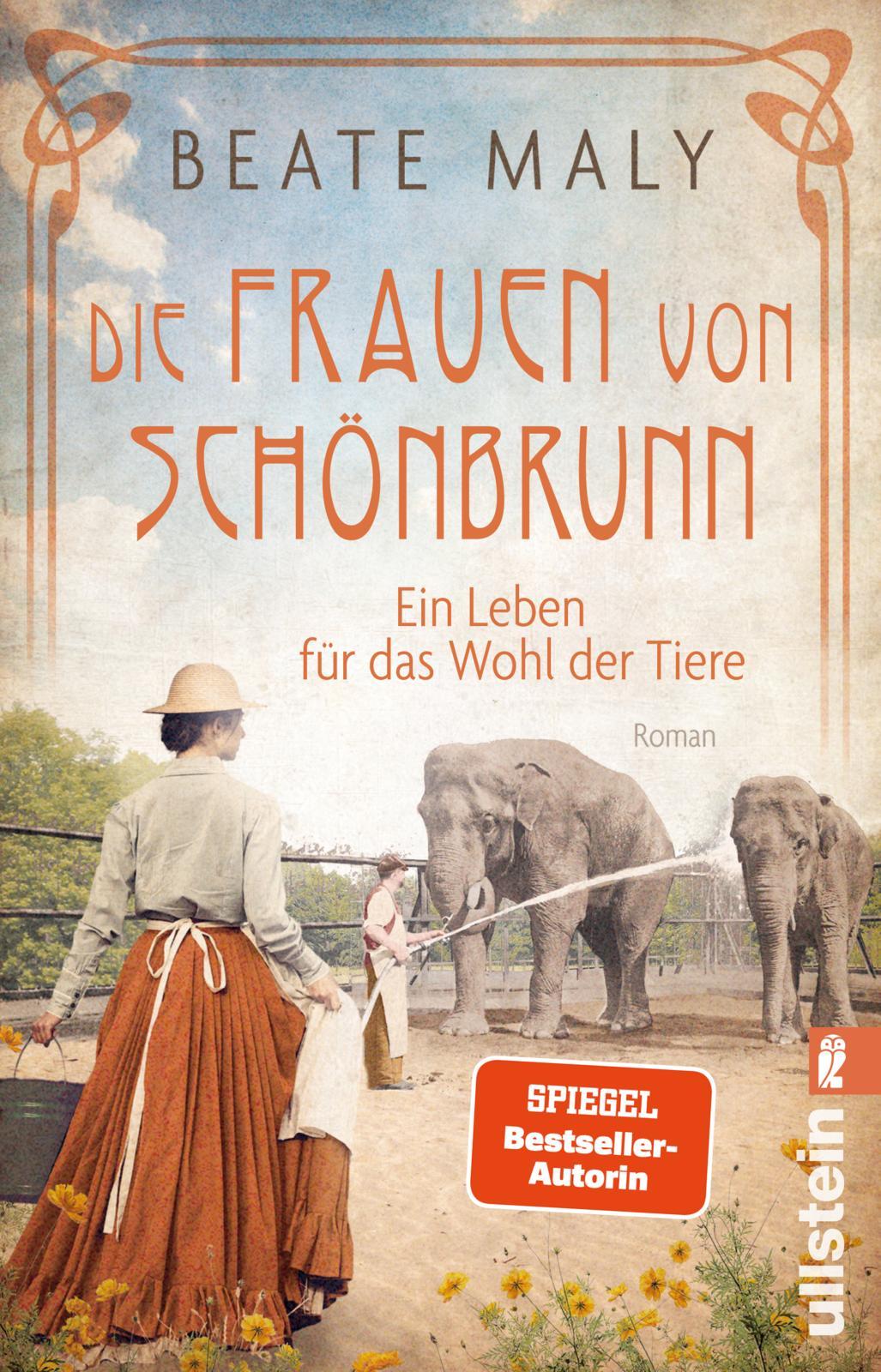 Vorderes Coverbild Die Frauen von Schönbrunn
