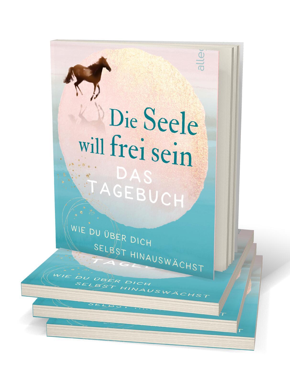 Beispielinhalt (Bild) Die Seele will frei sein - Das Tagebuch