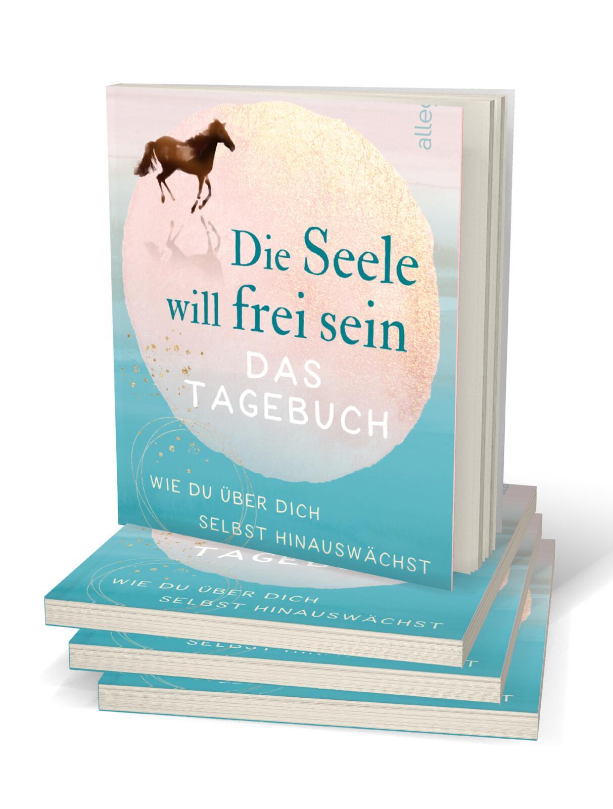 Beispielinhalt (Bild) Die Seele will frei sein - Das Tagebuch