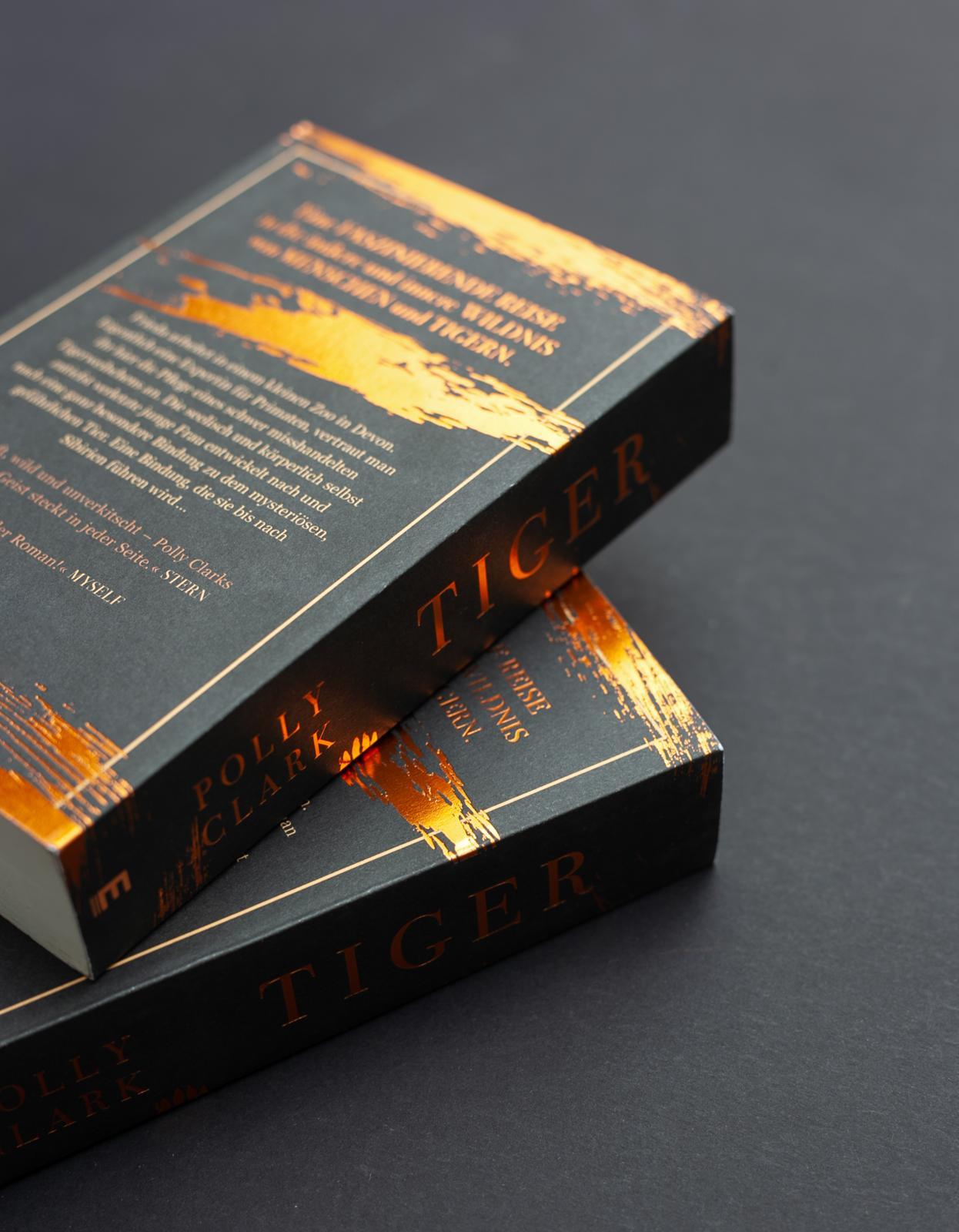 Beispielinhalt (Bild) Tiger