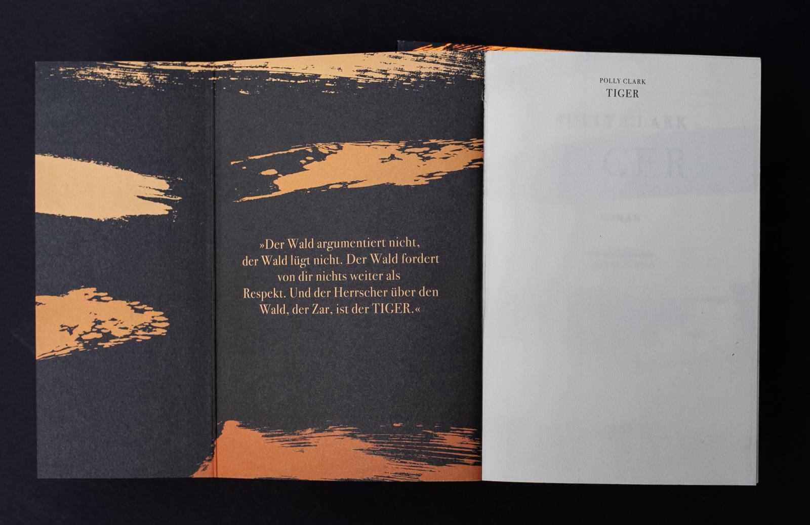 Beispielinhalt (Bild) Tiger