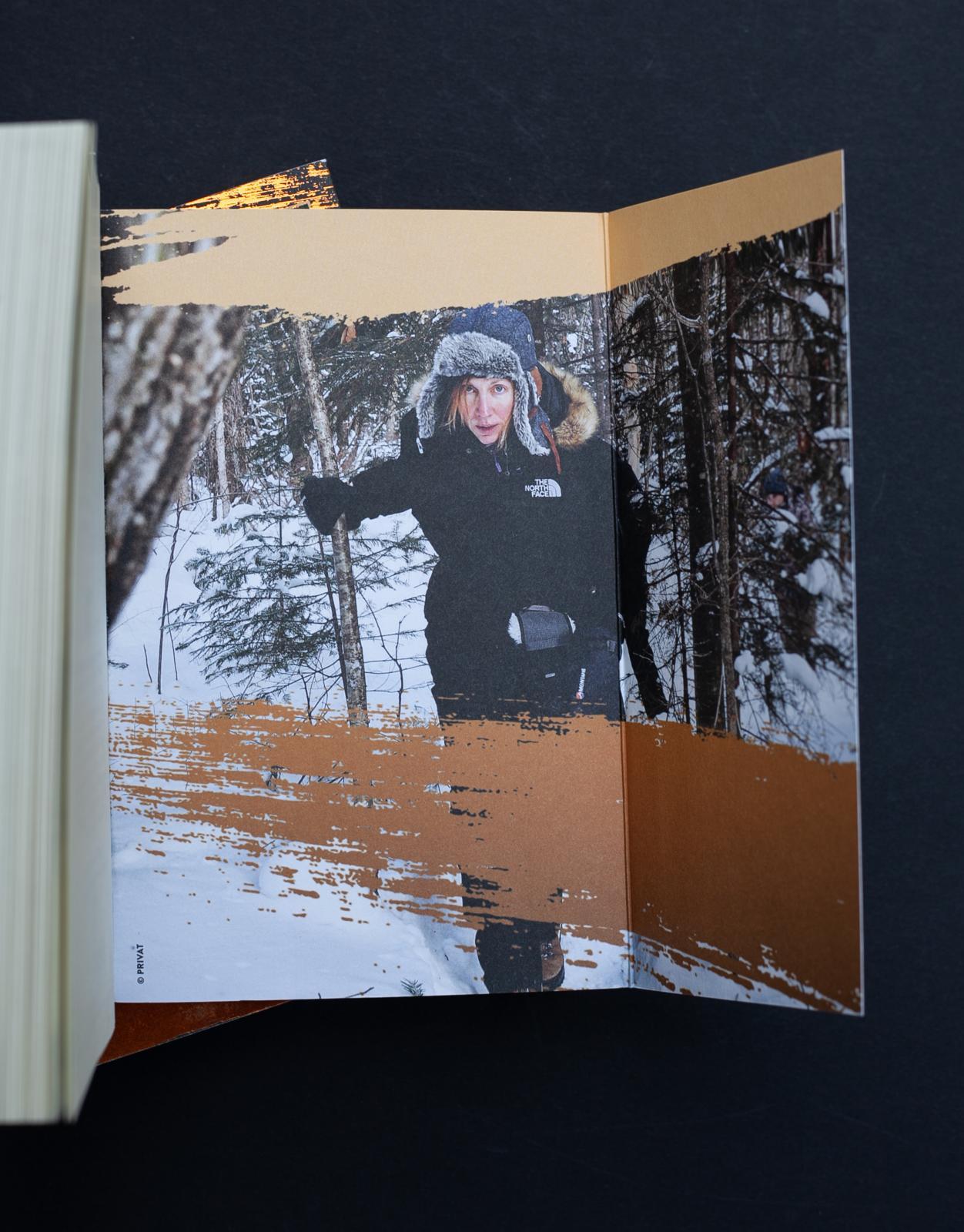 Beispielinhalt (Bild) Tiger