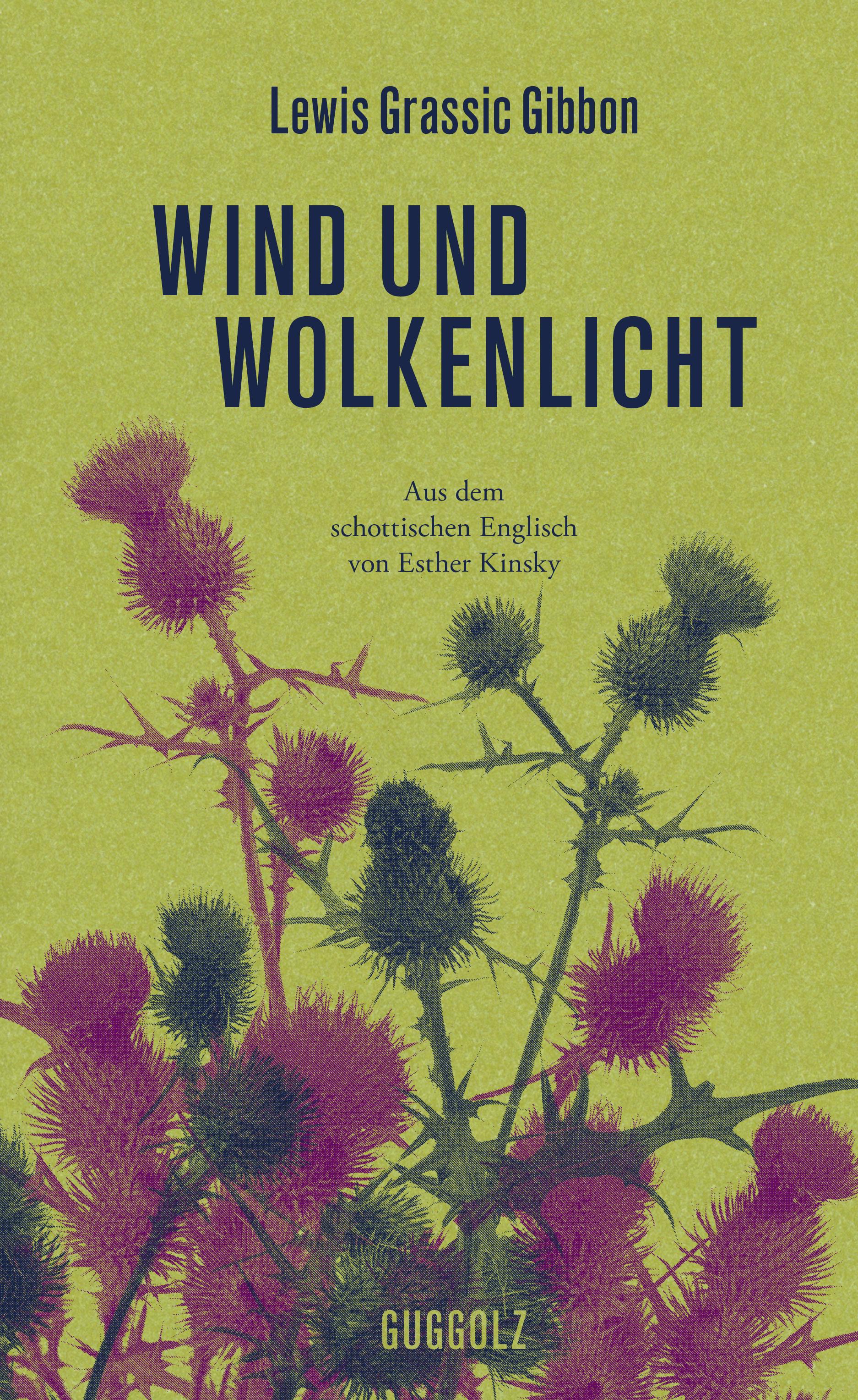 Vorderes Coverbild Wind und Wolkenlicht