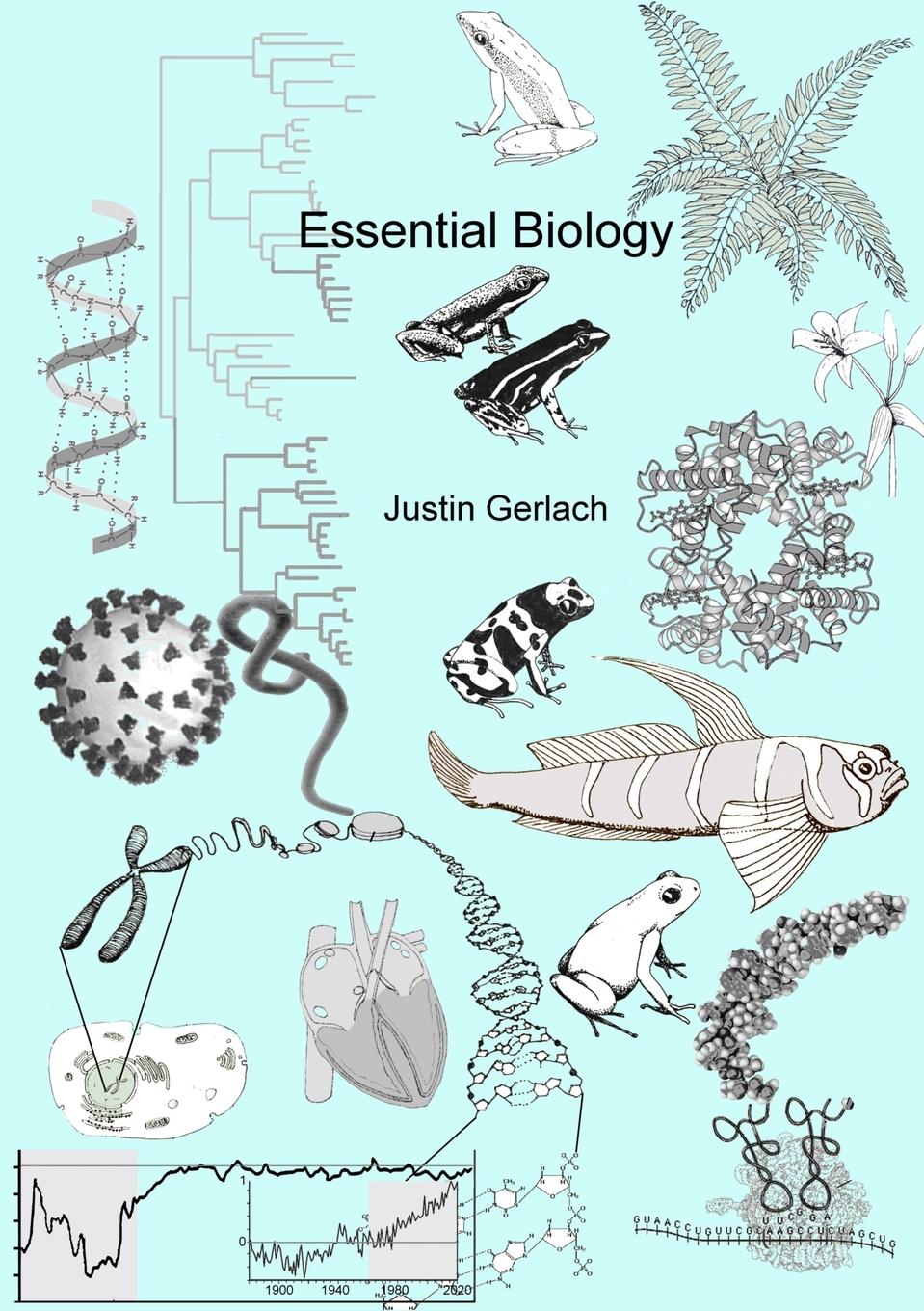 Vorderes Coverbild Essential Biology