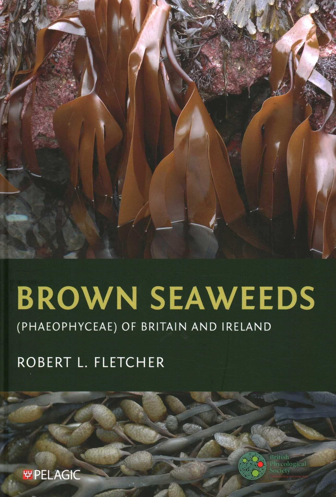 Vorderes Coverbild Brown Seaweeds (Phaeophyceae) of Britain and Ireland