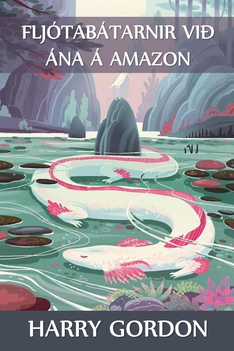 Vorderes Coverbild Fljótabátarnir við ána á Amazon