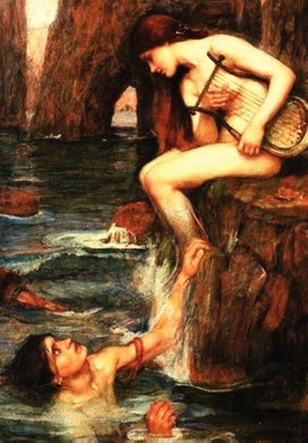 Vorderes Coverbild Singing Innocence and Experience