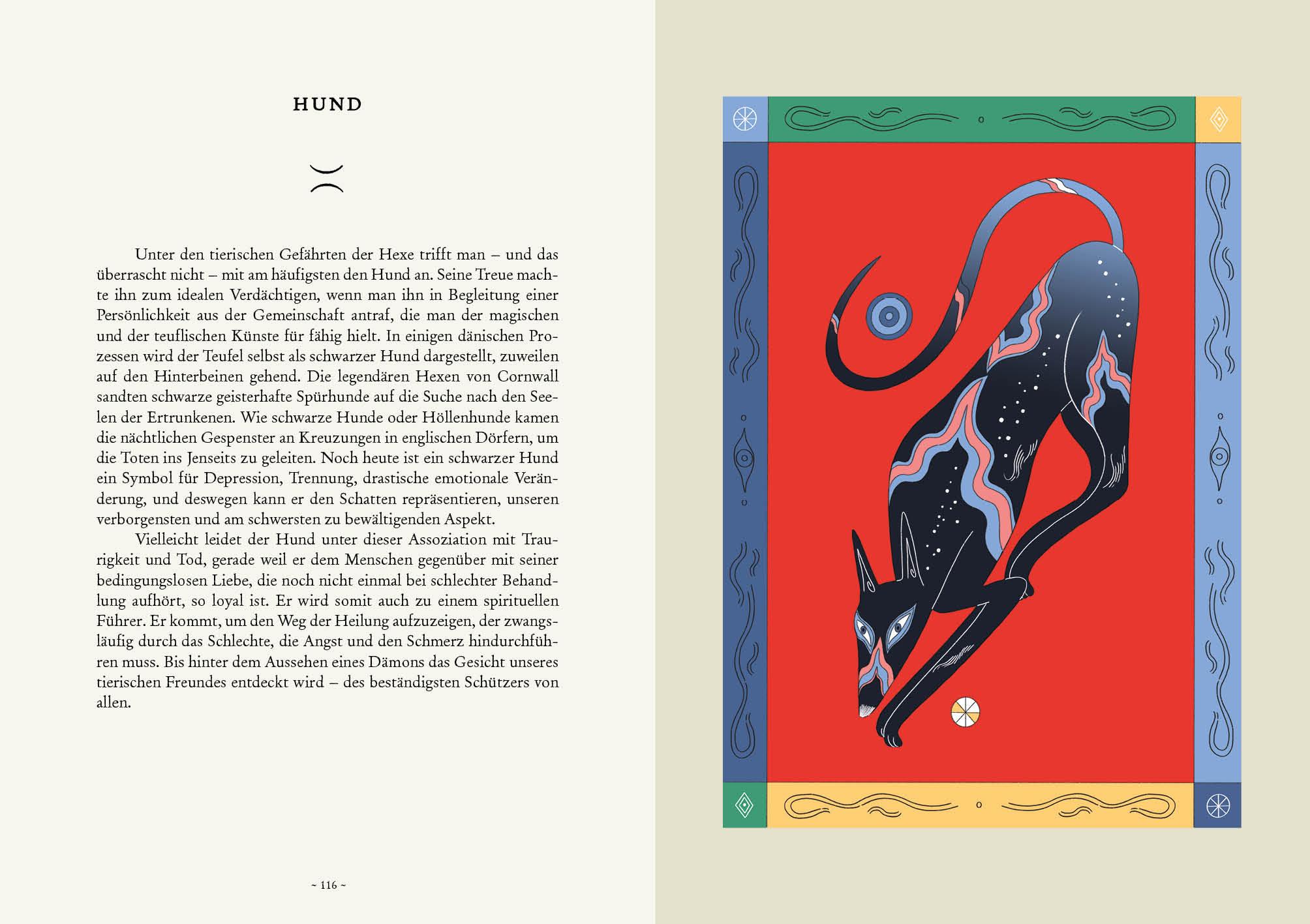 Beispielinhalt (Bild) Das Handbuch für Zauberlehrlinge und Hexenanfänger