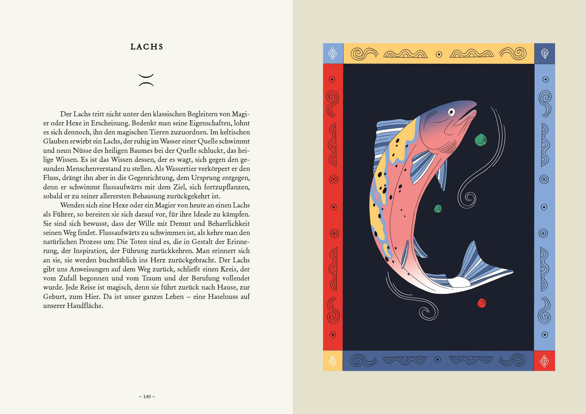 Beispielinhalt (Bild) Das Handbuch für Zauberlehrlinge und Hexenanfänger