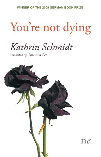 Vorderes Coverbild You're not dying