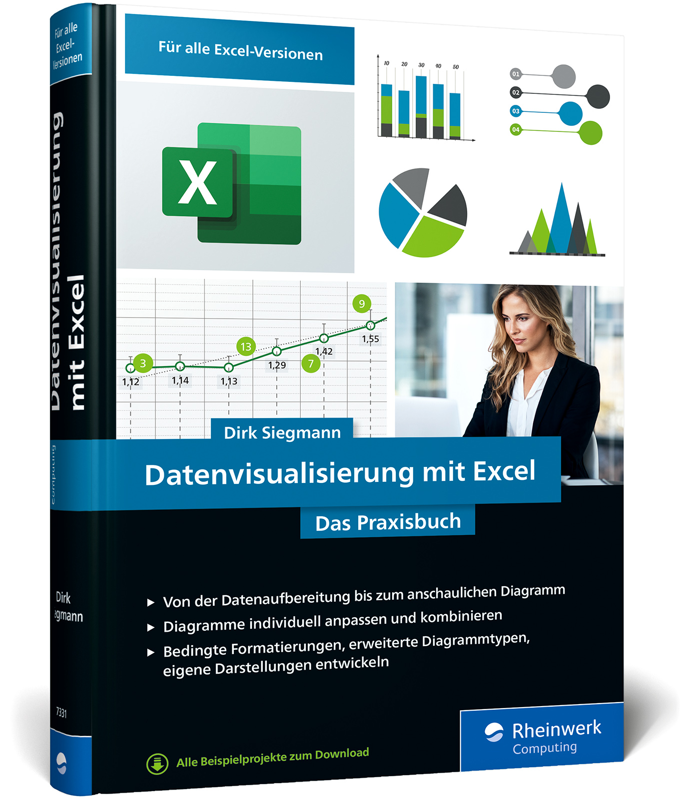 Vorderes Coverbild Datenvisualisierung mit Excel