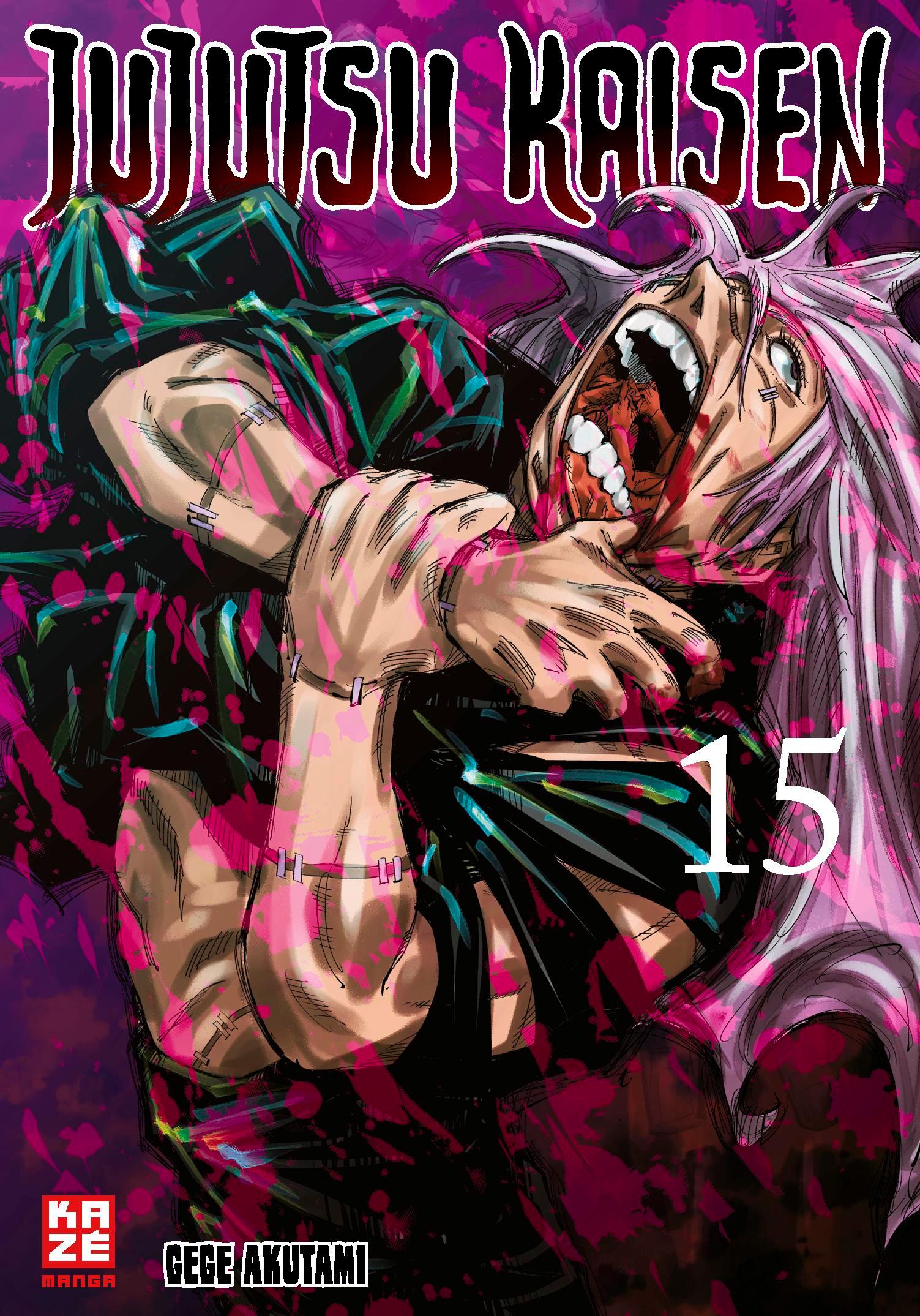 Vorderes Coverbild Jujutsu Kaisen - Band 15