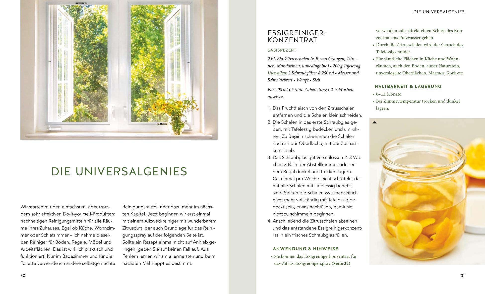 Beispielinhalt (Bild) Waschmittel, Allzweckreiniger und Co. einfach selbstgemacht