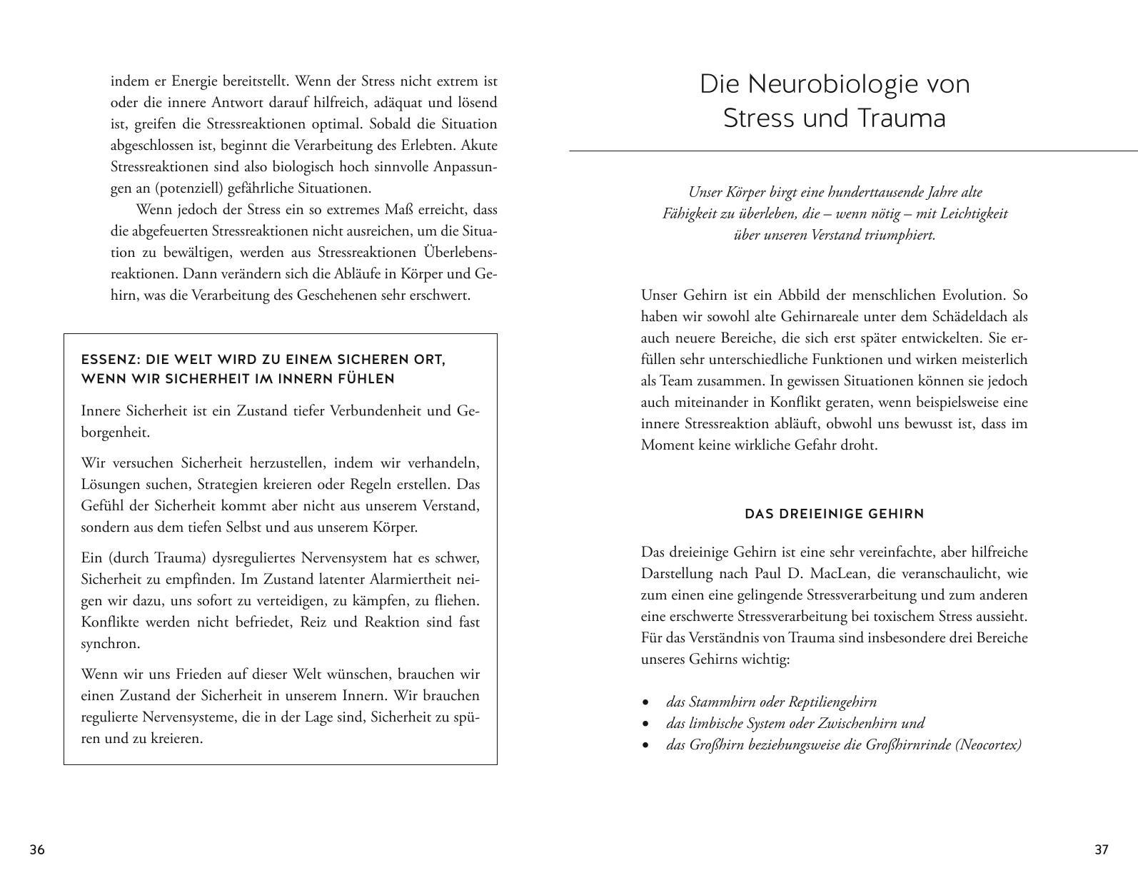 Beispielinhalt (Bild) Bin ich traumatisiert?