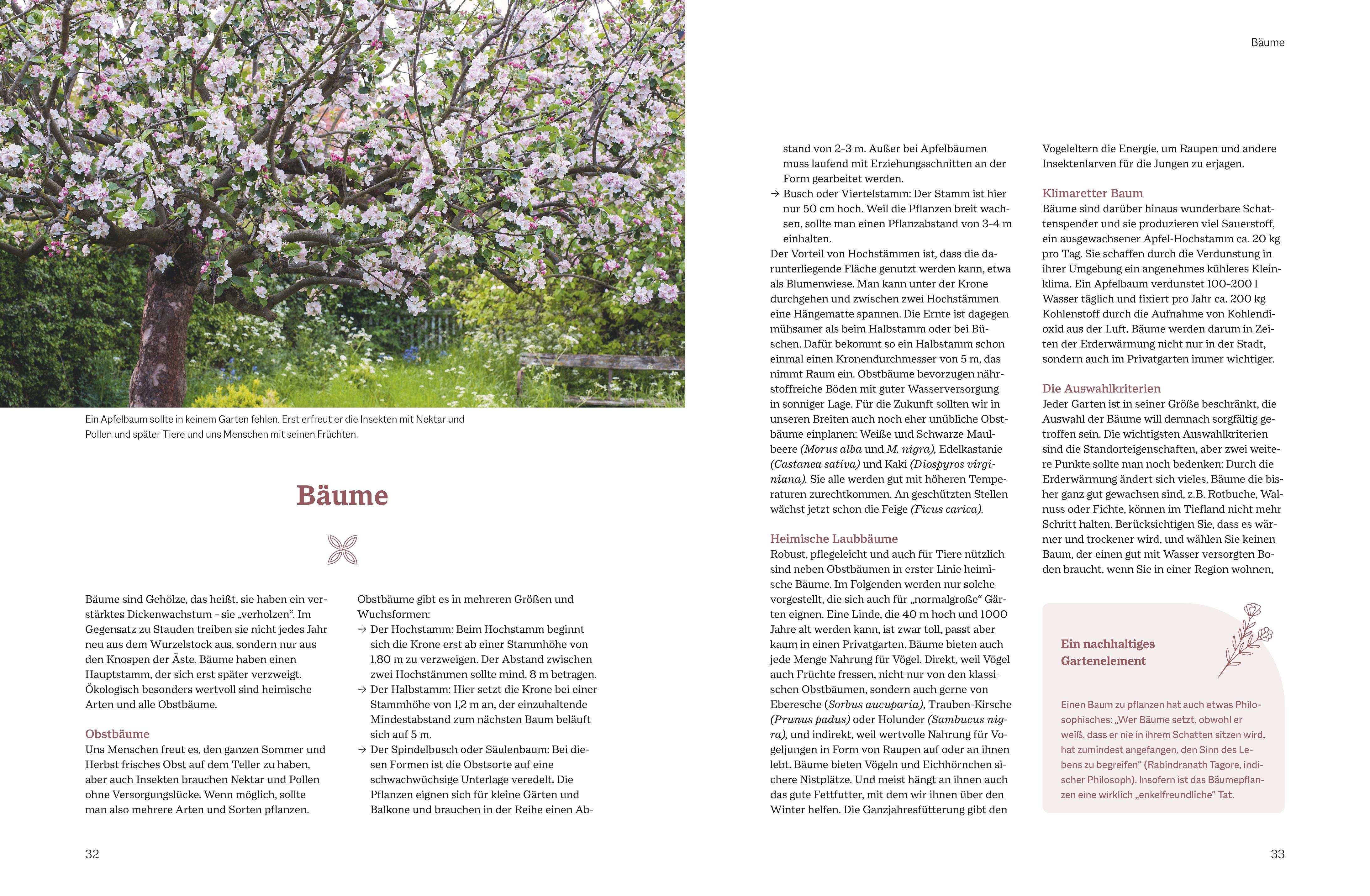 Beispielinhalt (Bild) Pflegeleichte Naturgärten gestalten