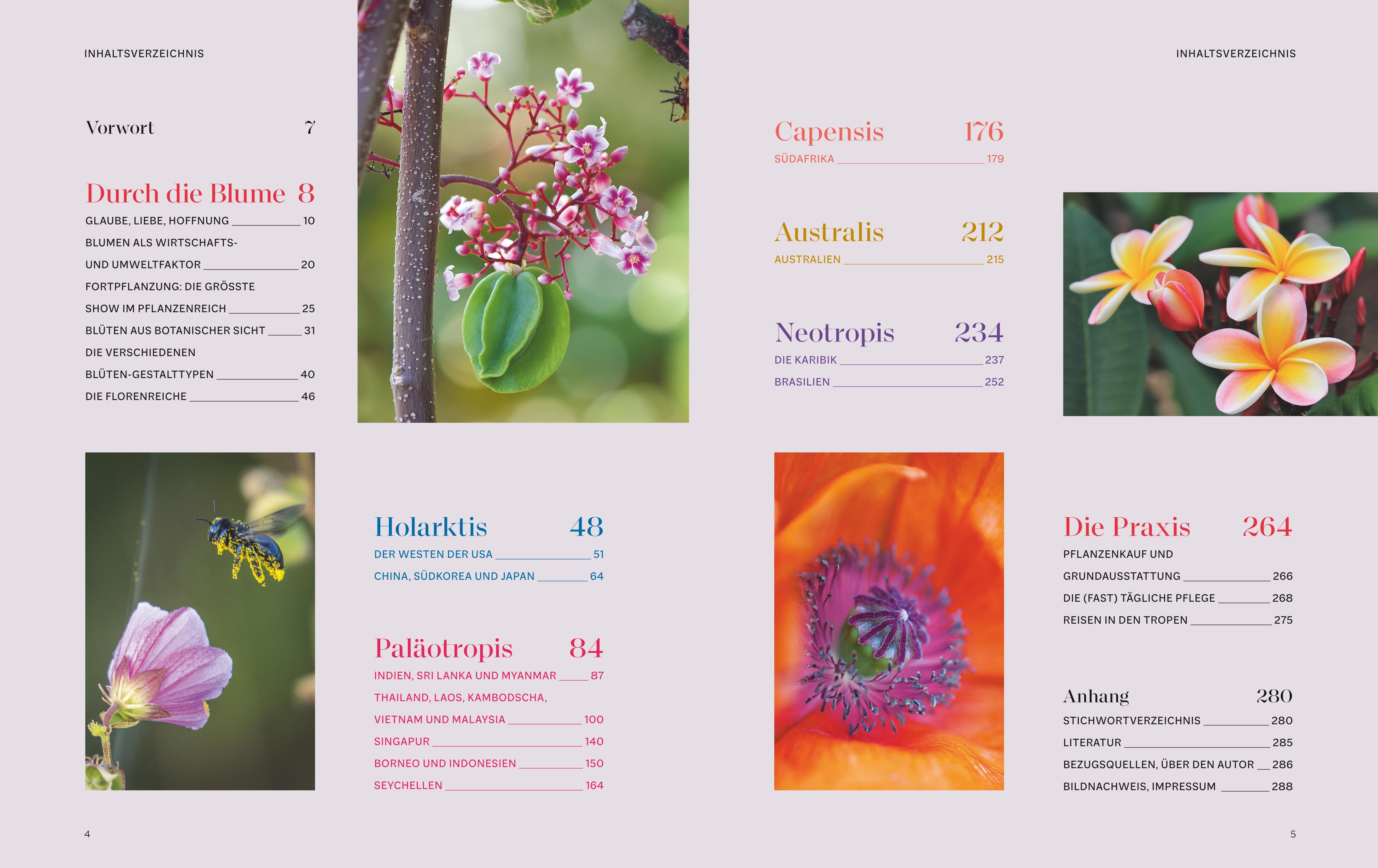 Beispielinhalt (Bild) Die Welt in voller Blüte: Eine botanische Entdeckungsreise zu den schönsten Blütenpflanzen der Welt