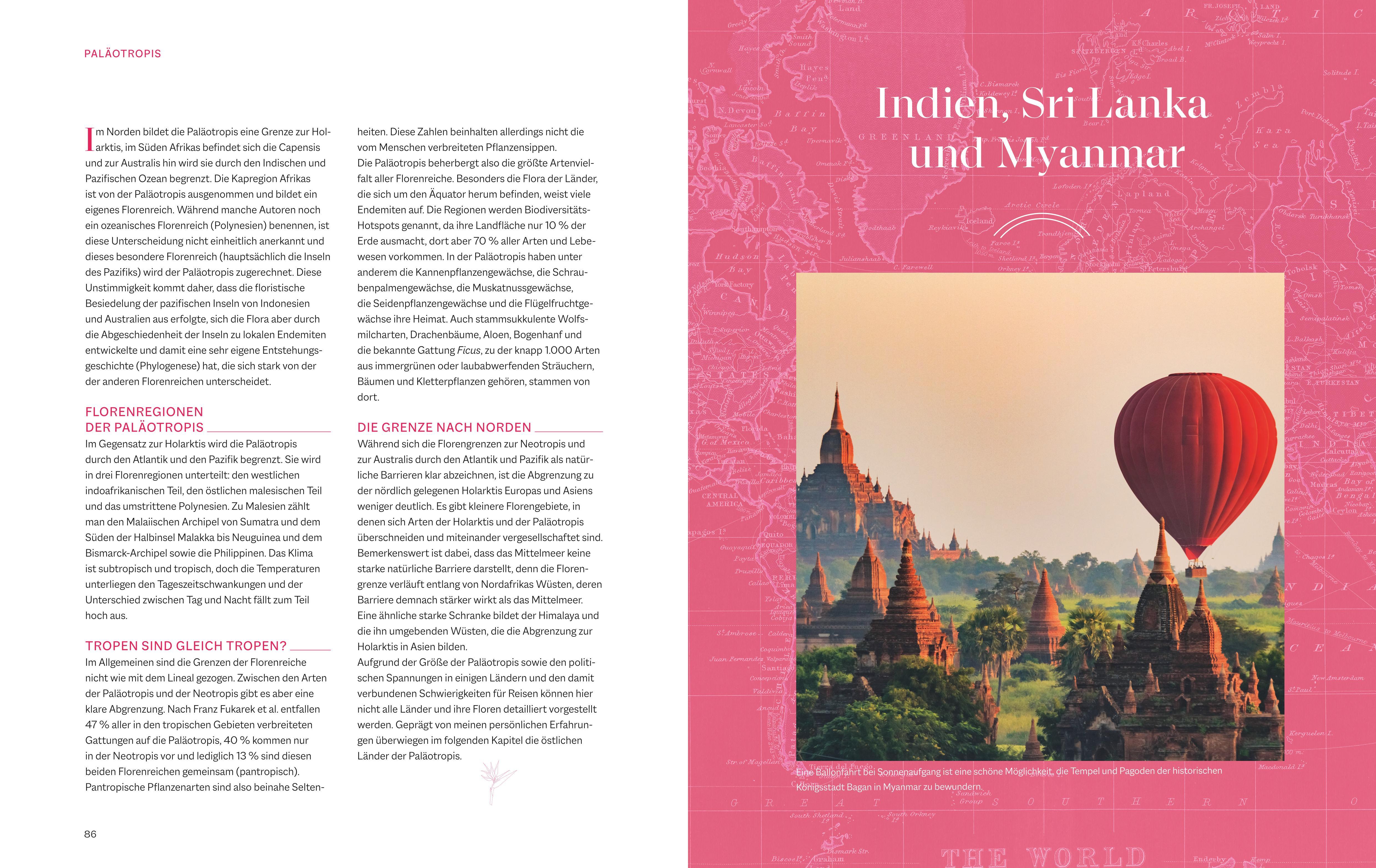 Beispielinhalt (Bild) Die Welt in voller Blüte: Eine botanische Entdeckungsreise zu den schönsten Blütenpflanzen der Welt