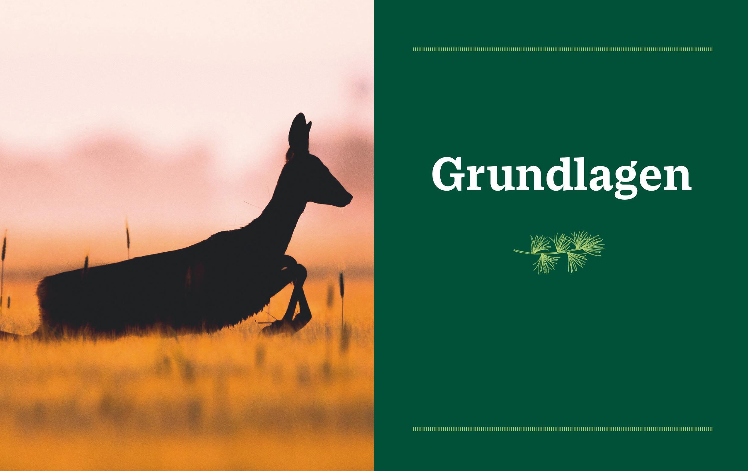 Beispielinhalt (Bild) Einfach Wild